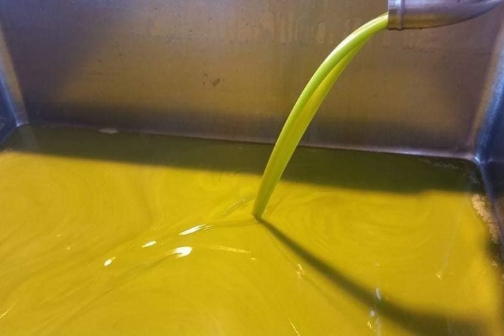 “المواصفات والمقاييس” تطلق مسابقة الزيت الذهبي لعام 2022-الحياة الجديدة