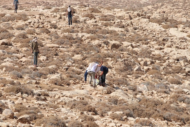 طعنوا متضامنة أجنبية بسكين.. مستوطنون يعربدون في الضفة-الحياة الجديدة