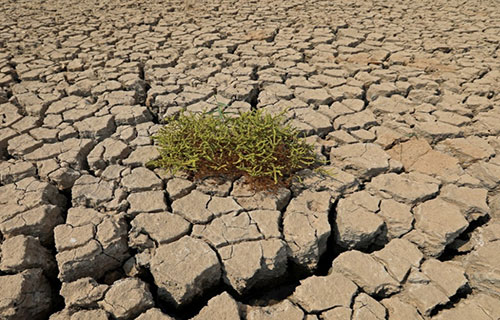 تغيّر المناخ يرسخ عدم المساواة الاقتصادية بين الدول الفقيرة والغنية