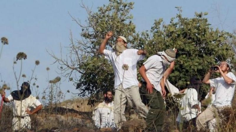 مستوطنون يهاجمون نسوة يقطفن الزيتون والاحتلال يحتجز عددا من المزارعين في قريوت-الحياة الجديدة