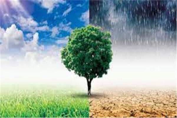 دراسة: أجزاء كبيرة من أوروبا تأثرت بموجات الحر والجفاف الواسعة