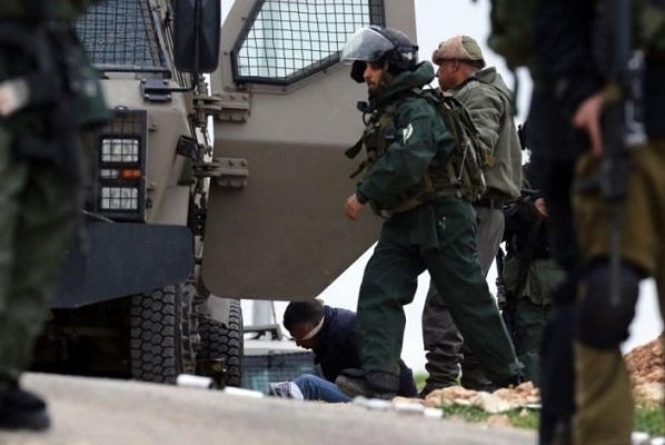 الاحتلال يعتقل 3 مواطنين من نابلس وبيت لحم-الحياة الجديدة