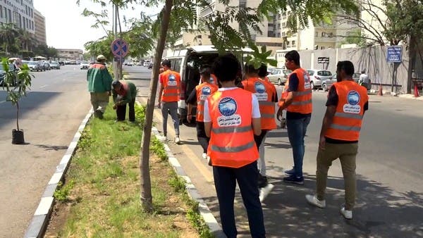 مبادرة مصرية لزراعة 100 مليون شجرة مثمرة رغم انتقادات قطع أشجار الشوارع