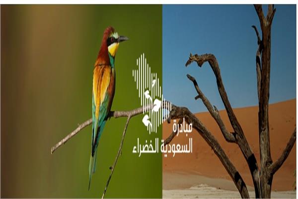 7 وزراء سعوديين يشاركون في مؤتمر المناخ بشرم الشيخ