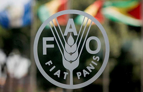 تراجع مؤشر أسعار الغذاء العالمي للشهر السابع