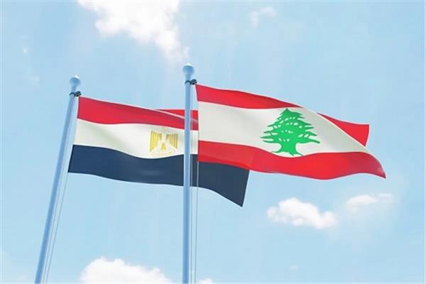 بعد مساعدتها في مكافحة الكوليرا.. حركة لبنانية: مصر المحروسة هي السند