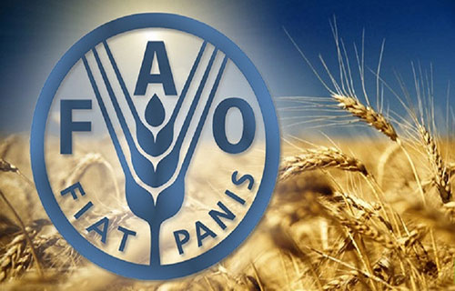 تكاليف استيراد الغذاء ترتفع لمستوى قياسي في 2022