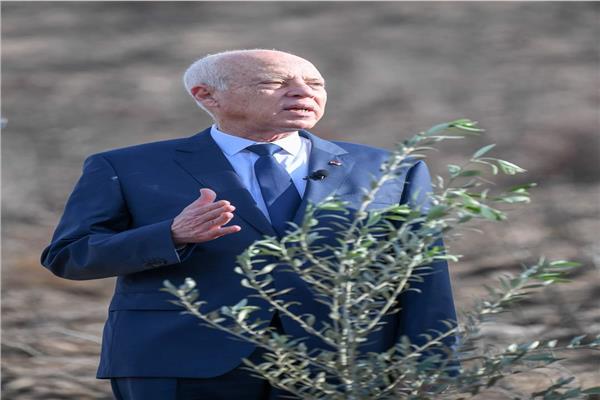 قيس سعيد: جهات لا وطنية ولا انتماء لها كانت وراء الحرائق في تونس