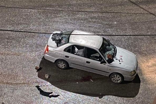 التعرف على هوية شهيدة بيتونيا-الحياة الجديدة