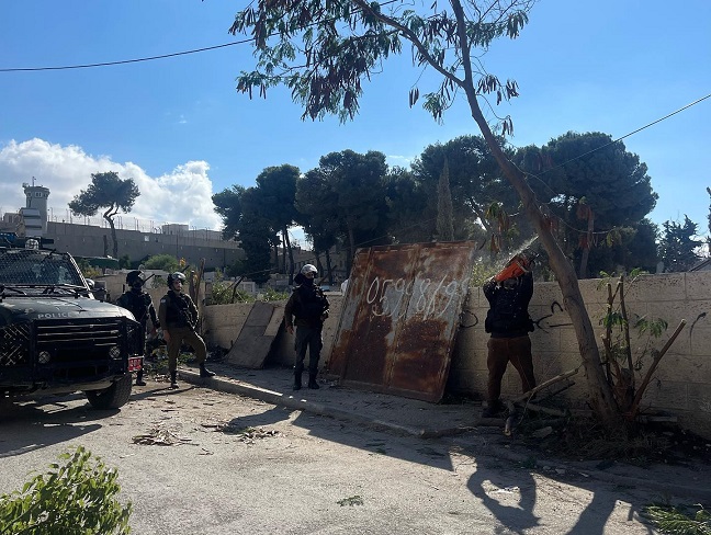 الاحتلال يقطع أشجارًا حرجية في المقبرة الاسلامية شمال بيت لحم-الحياة الجديدة