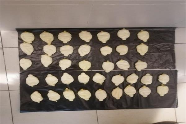 إحباط تهريب 1.5 كيلوجرام كوكايين في أحشاء مسافر أجنبي حاول إدخالها للأردن