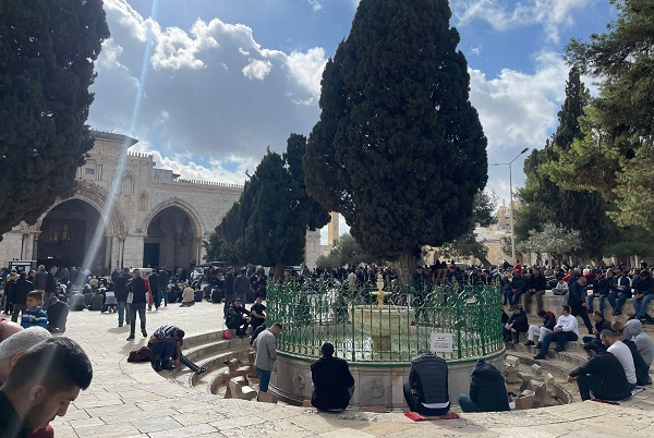 50 ألفًا يؤدون “الجمعة” في رحاب “الأقصى”-الحياة الجديدة