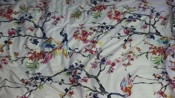 أين النظارات الطبية؟ فقط 10% عثروا عليها خلال 11 ثانية!