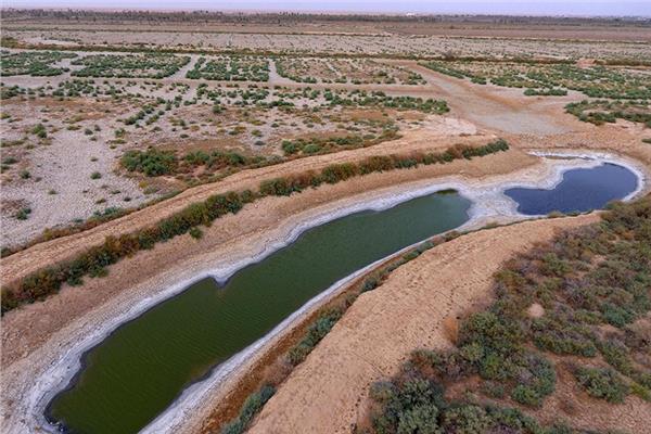 نائب رئيس البرلمان العراقي يحذر: الأمن المائي البلاد في خطر