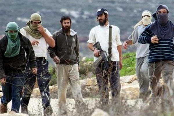 مستوطنون يسرقون خلايا نحل من أراضي دير شرف-الحياة الجديدة