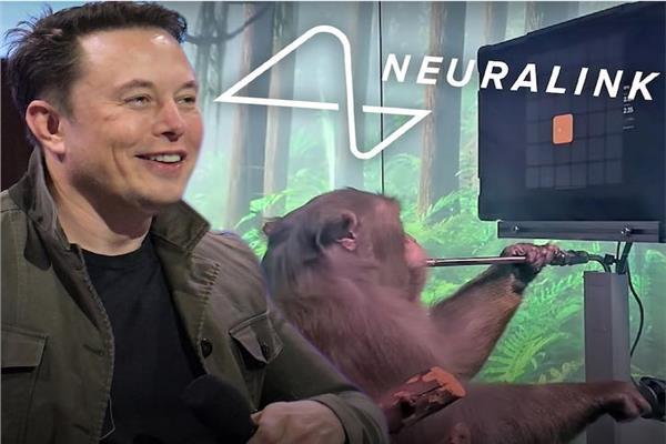 شركة ماسك المتخصصة في زراعة رقائق الدماغ تواجه تحقيقا بسبب تجارب على حيوانات