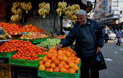 تراجع القدرة الشرائية يهوي بأسعار الفواكه
