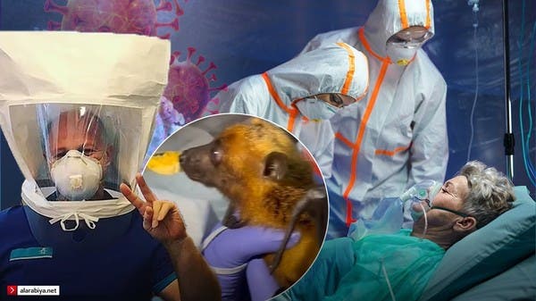 من موطن الخفافيش.. باحث “مريب” يتباهى بصوره ويغضب ضحايا كورونا