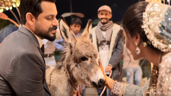 شاهد.. باكستاني يهدي عروسه “حماراً” في ليلة الزفاف