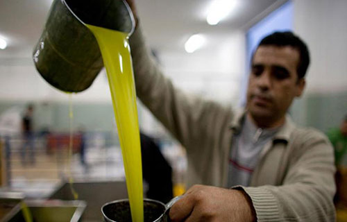 إنتاج قياسي لزيت الزيتون وبحث عن حلول تسويقية للفائض