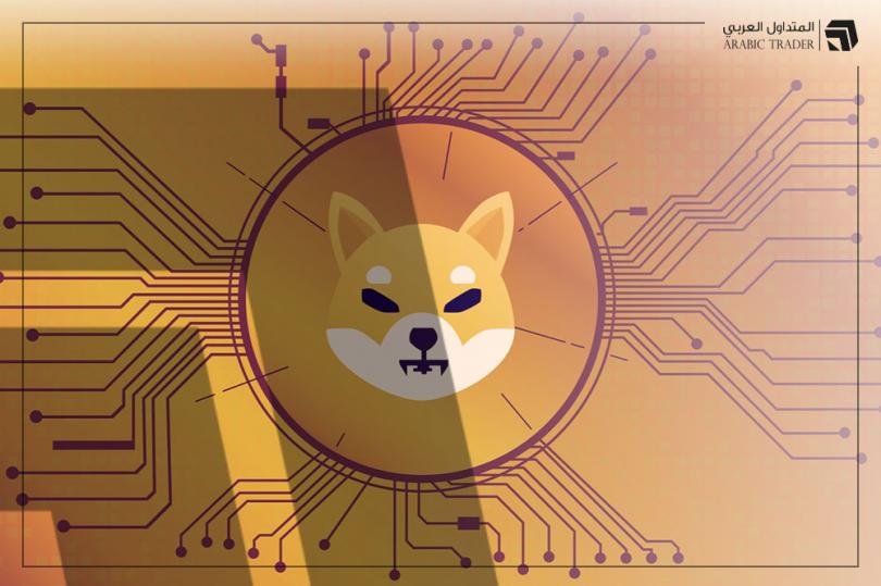 معدل حرق شيبا إينو Shiba Inu يرتفع بنسبة 107%