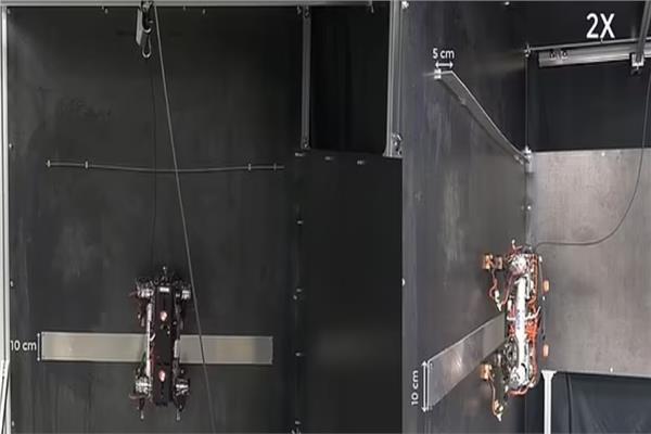 تطوير روبوت لتسلق الجدران | صور