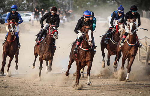 اتحاد الفروسية يختتم الجولة الثانية من موسم سباقات السرعة بأريحا