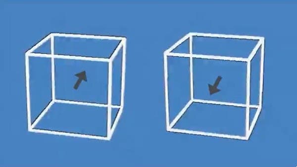 انظر جيداً وأخبرنا إلى أي اتجاه يتحرك المكعبان؟