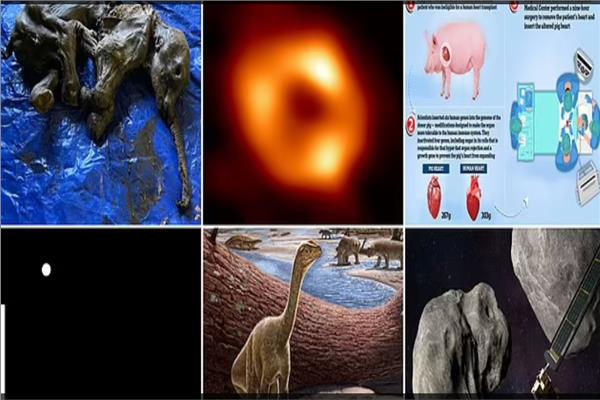 حصاد 2022 | أهم 10 اكتشافات علمية غريبة ورائعة