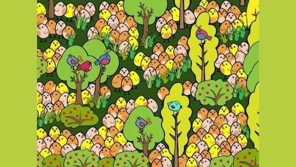 تحدٍّ جديد.. هل يمكنك إيجاد البيضة المخفية بين الصيصان بـ9 ثوان؟