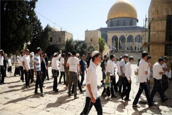 الأوقاف الفلسطينية: اقتحامات الاحتلال للأقصى تجاوزت 262 مرة العام الماضي