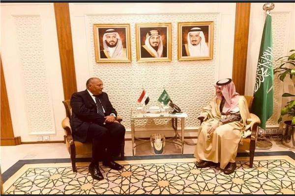 البيان المشترك بين مصر والسعودية.. رفض أية تدخلات في الشؤون الداخلية للدول العربية 