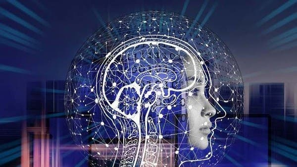 كيف تؤثر بكتيريا الأمعاء على صحة الدماغ؟