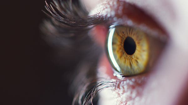 ماذا تعرف عن الغلوكوما؟.. أمور تتغاضى عنها قد تفقدك بصرك