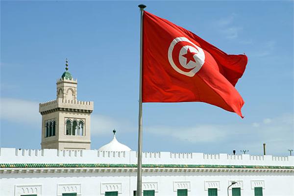 البنك الدولي يؤكد مواصلة دعم مشروعات الطاقة في تونس