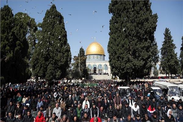 مساجد فلسطين تجمع مليون دولار لمتضرري زلزال تركيا وسوريا