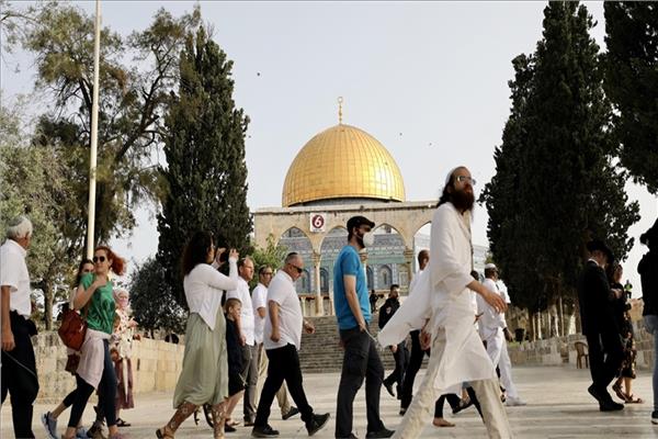 مُستوطنون إسرائيليون يُهاجمون فلسطينيين بوسط الخليل
