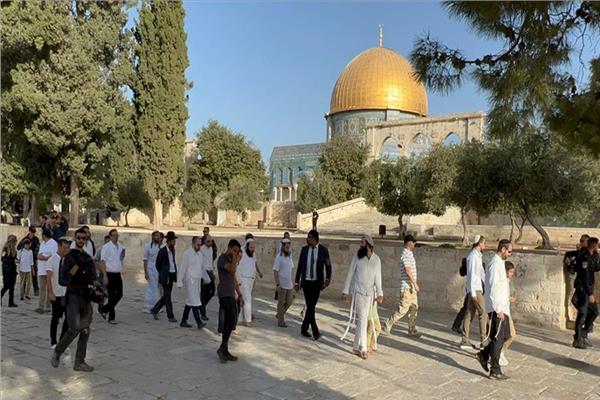 بحماية من الشرطة..عشرات المستوطنين الإسرائيليين يقتحمون «الأقصى» 