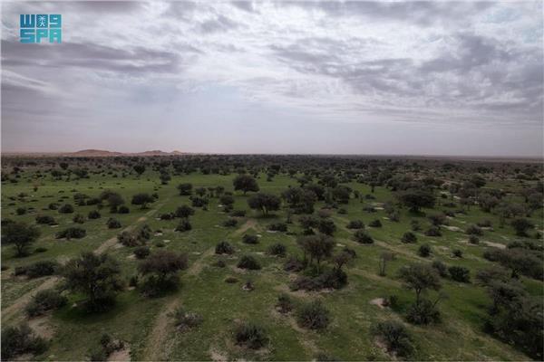 تسجيل محمية الإمام عبدالعزيز بن محمد السعودية على قاعدة البيانات العالمية