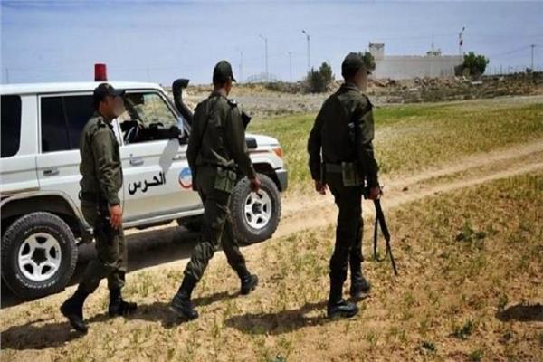 تونس تحبط محاولات للهجرة غير الشرعية عبر حدودها البرية