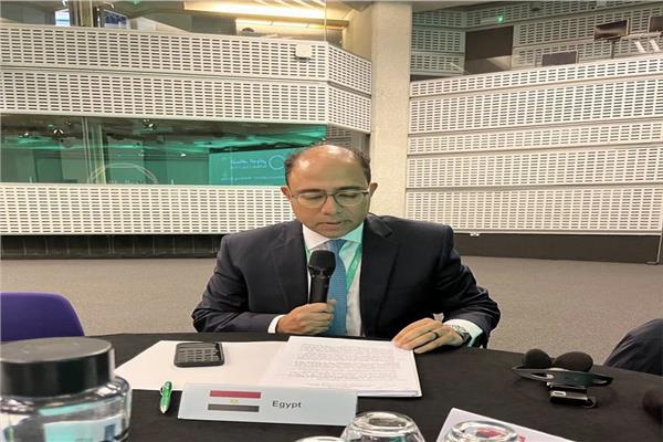 مصر تستعرض جهودها لمكافحة الفكر الإرهابي والمتطرف بلندن