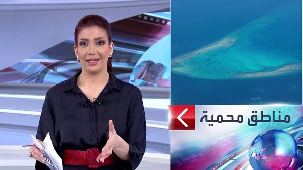الساعة 60 | بعد عقدين من المباحثات..اتفاقية لحماية التنوع البيولوجي للمحيطات