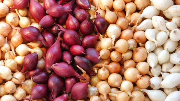 4 كيلوغرامات بدل 2.. سوريون منشغلون بقضية “البصل”