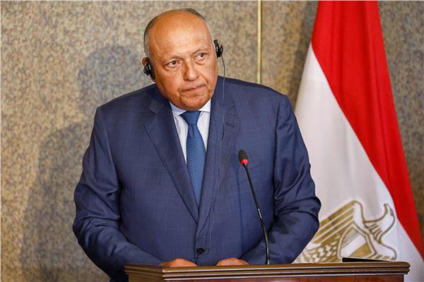 شكري: يجب استمرار تقديم الدعم من جميع الأطراف لمساعدة سوريا