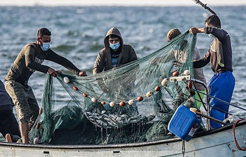 “حماس” تفرض رسوماً على الأسماك المسوّقة قي الضفة بعد فرضها على الفواكه المستوردة