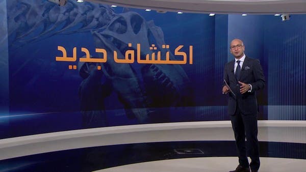أبحاث علمية تتوصل لأطول رقبة كائن حي على الإطلاق