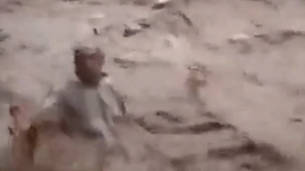 فضّل تصويره على إنقاذه من الغرق.. فيديو يستفز التواصل