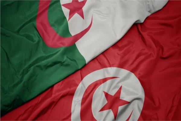 الجزائر تتضامن مع تونس في مفاوضاتها مع البنك الدولي