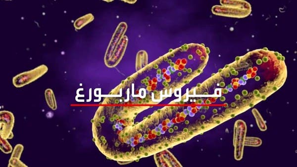 فيروس ألماني قاتل.. ولا علاج له