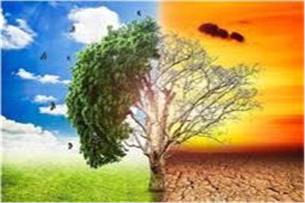 الصحة العالمية تحذر: التغير المناخي يساعد على انتشار الأمراض بشكل أسرع 